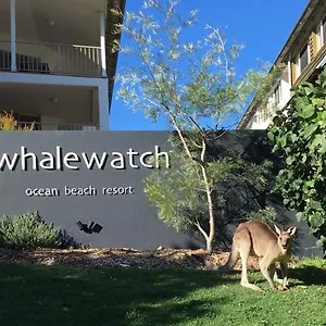 Whale Watch Ocean Point Lookout