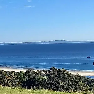 Pandanus Palms Point Lookout